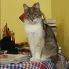 Отзыв от Нелли Демина